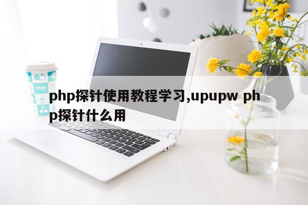 php探针使用教程学习,upupw php探针什么用