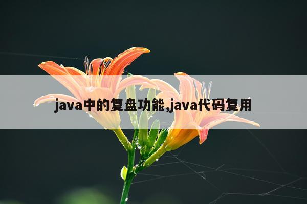 java中的复盘功能,java代码复用