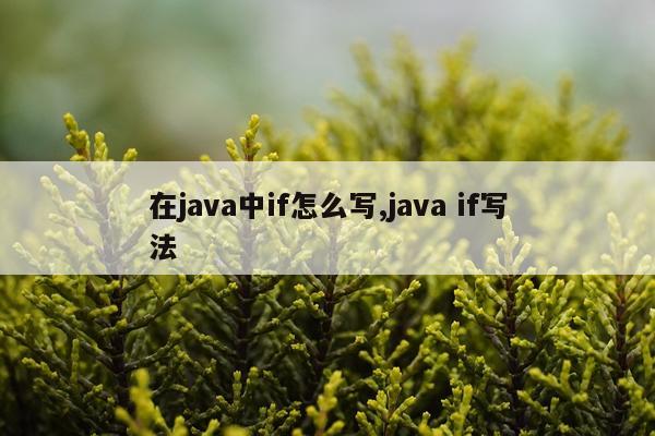 在java中if怎么写,java if写法
