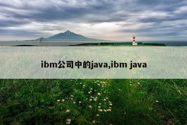 ibm公司中的java,ibm java