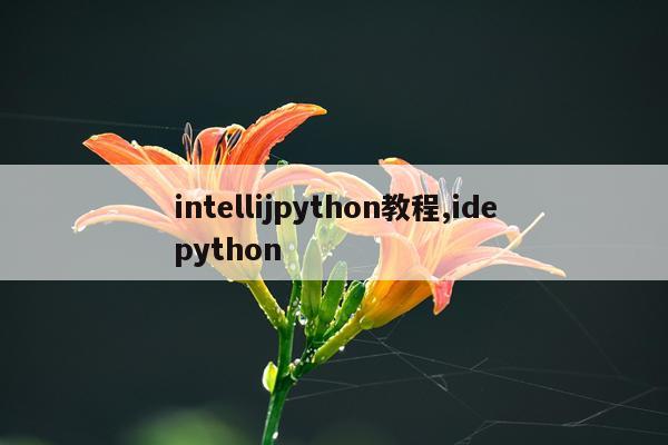 intellijpython教程,idepython