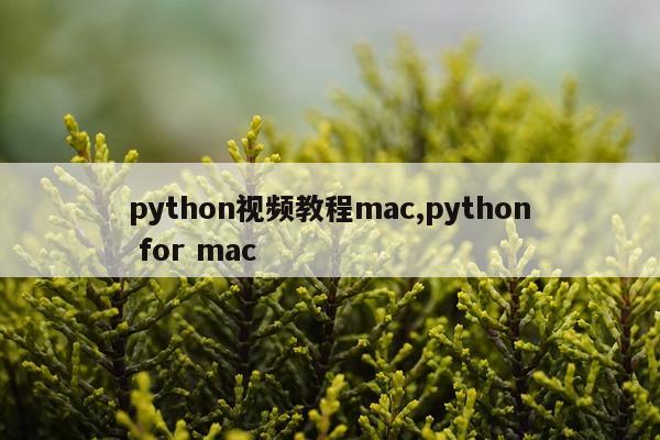 python视频教程mac,python for mac