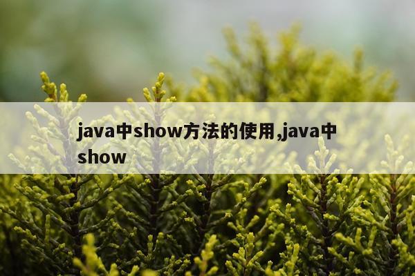java中show方法的使用,java中show
