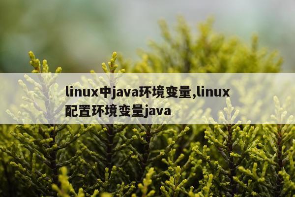 linux中java环境变量,linux配置环境变量java
