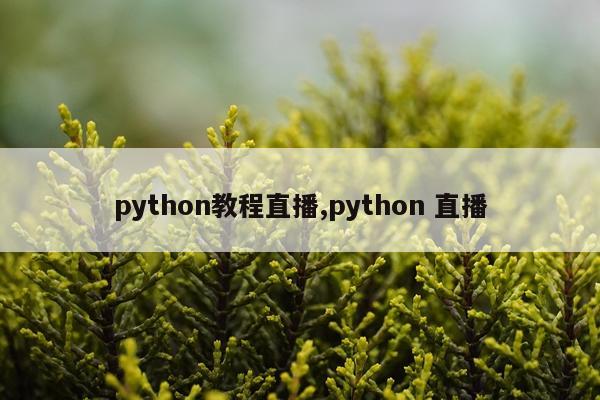 python教程直播,python 直播