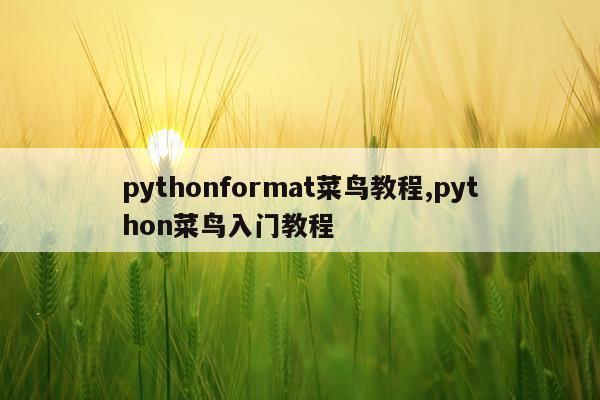pythonformat菜鸟教程,python菜鸟入门教程