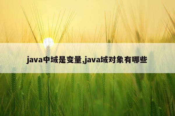 java中域是变量,java域对象有哪些