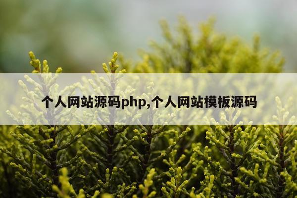 个人网站源码php,个人网站模板源码