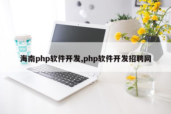 海南php软件开发,php软件开发招聘网
