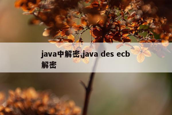 java中解密,java des ecb解密