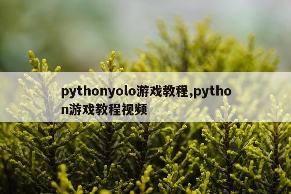 pythonyolo游戏教程,python游戏教程视频