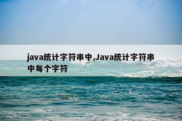 java统计字符串中,Java统计字符串中每个字符