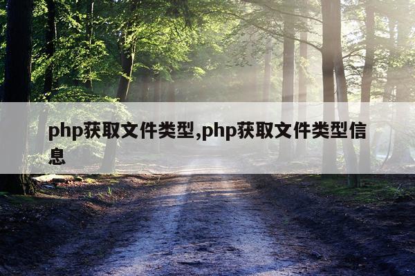 php获取文件类型,php获取文件类型信息