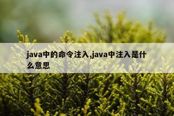 java中的命令注入,java中注入是什么意思