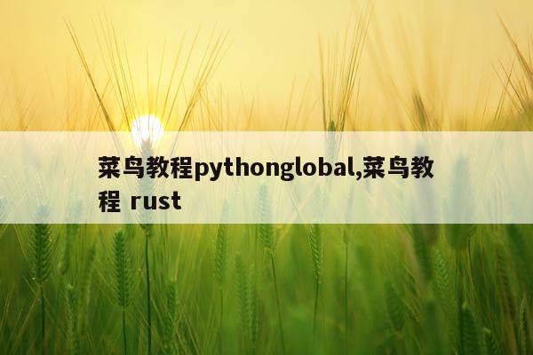 菜鸟教程pythonglobal,菜鸟教程 rust