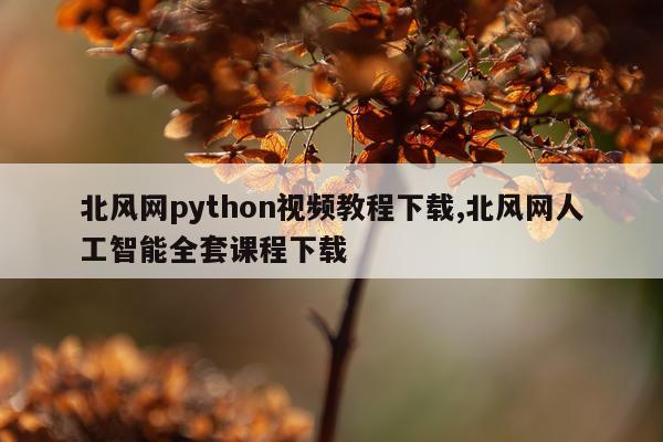 北风网python视频教程下载,北风网人工智能全套课程下载