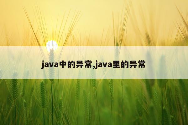 java中的异常,java里的异常