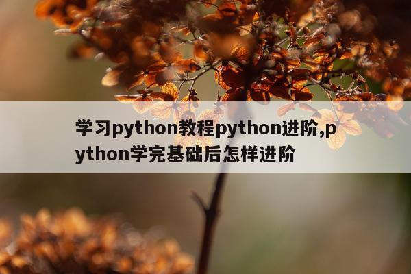 学习python教程python进阶,python学完基础后怎样进阶