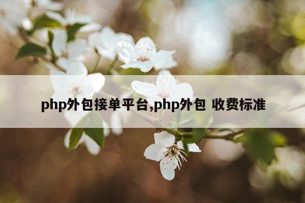 php外包接单平台,php外包 收费标准