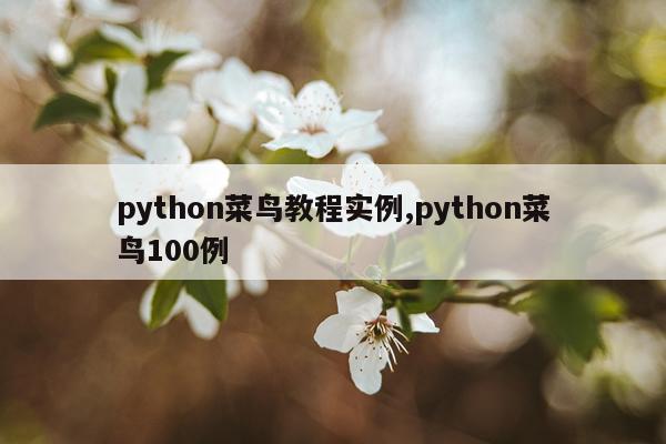 python菜鸟教程实例,python菜鸟100例