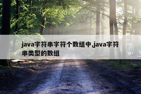 java字符串字符个数组中,java字符串类型的数组