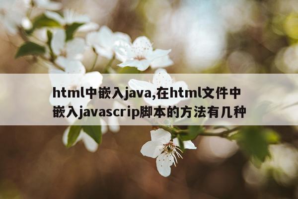 html中嵌入java,在html文件中嵌入javascrip脚本的方法有几种