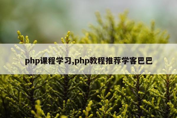 php课程学习,php教程推荐学客巴巴