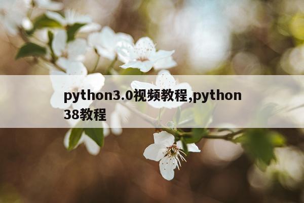 python3.0视频教程,python38教程