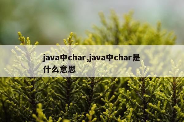 java中char,java中char是什么意思