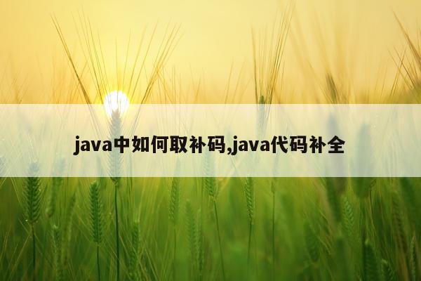 java中如何取补码,java代码补全