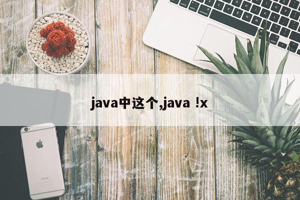 java中这个,java !x