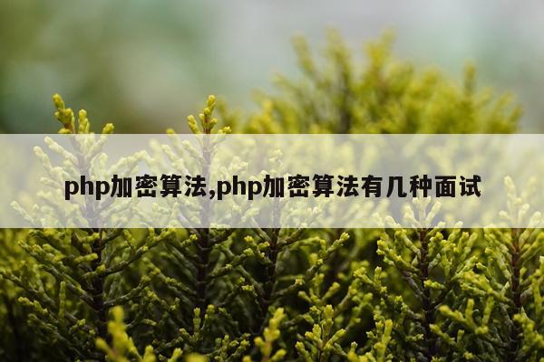 php加密算法,php加密算法有几种面试