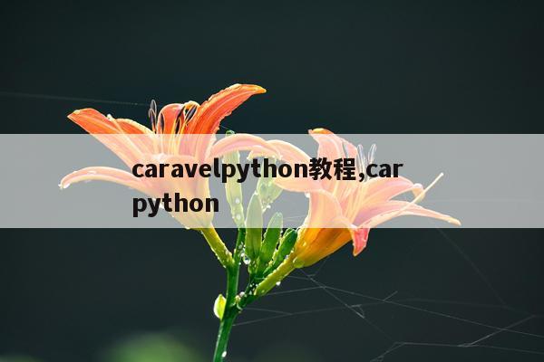 caravelpython教程,car python