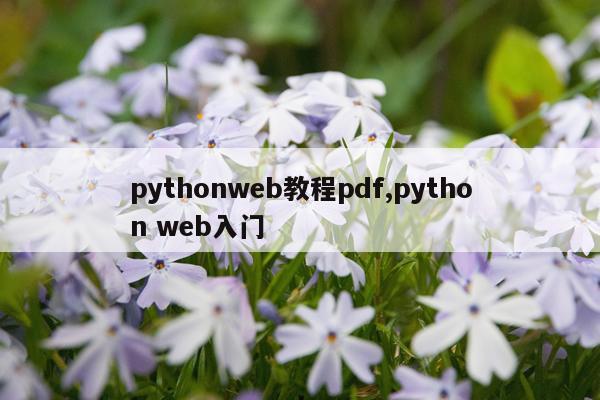pythonweb教程pdf,python web入门