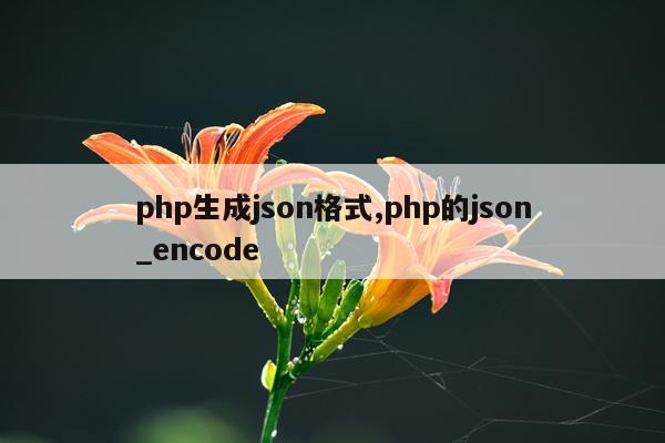 php生成json格式,php的json_encode