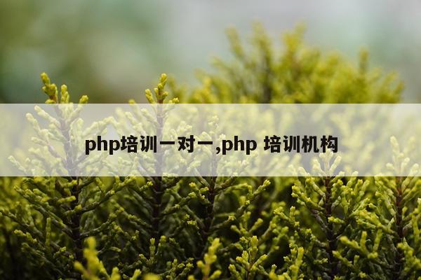 php培训一对一,php 培训机构