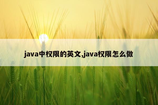 java中权限的英文,java权限怎么做