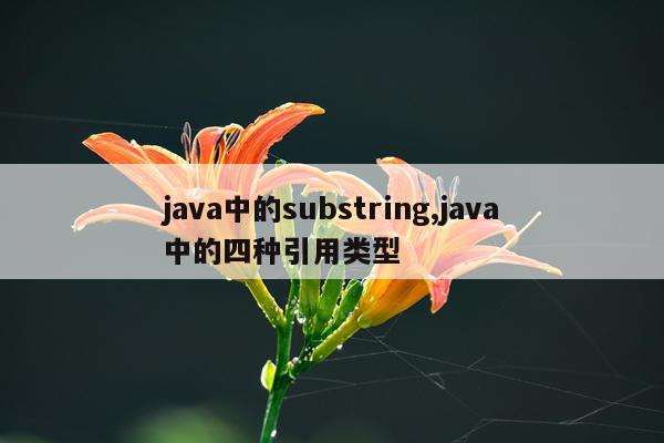 java中的substring,java中的四种引用类型
