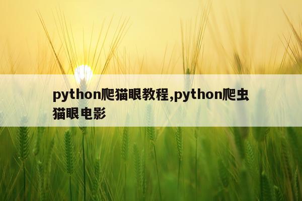 python爬猫眼教程,python爬虫猫眼电影