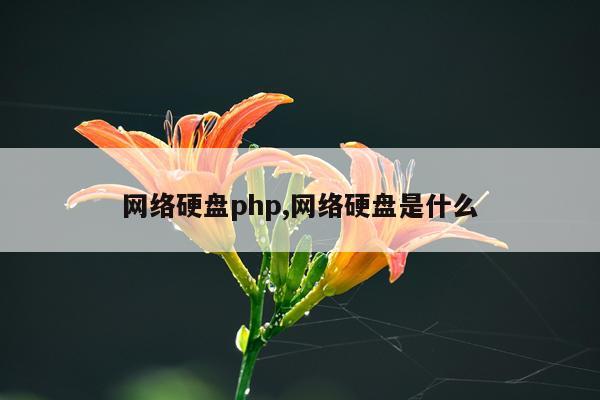 网络硬盘php,网络硬盘是什么