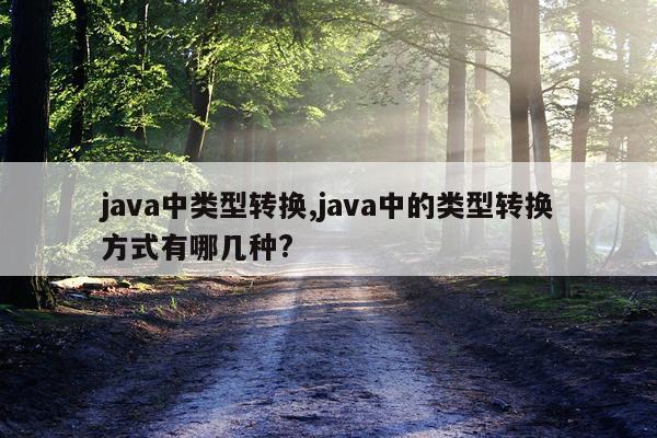 java中类型转换,java中的类型转换方式有哪几种?