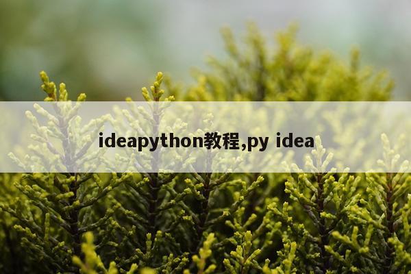 ideapython教程,py idea