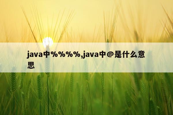 java中%%%%,java中@是什么意思