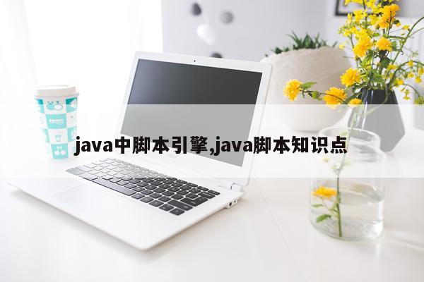 java中脚本引擎,java脚本知识点
