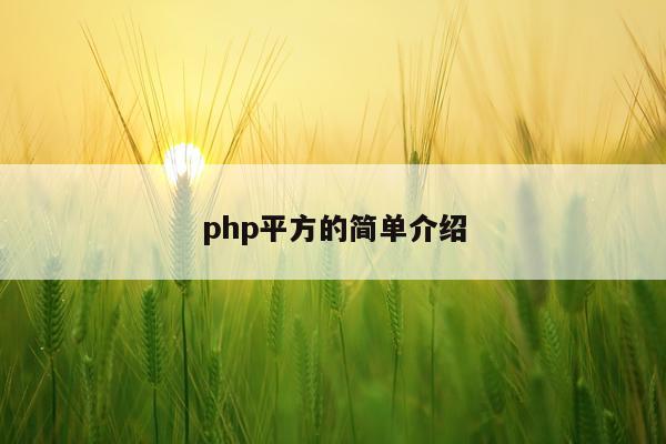 php平方的简单介绍