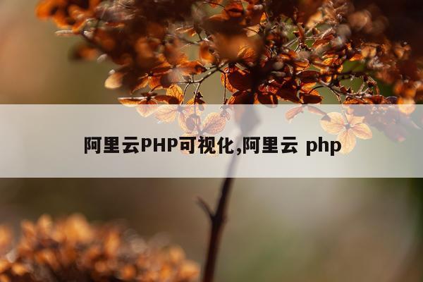 阿里云PHP可视化,阿里云 php