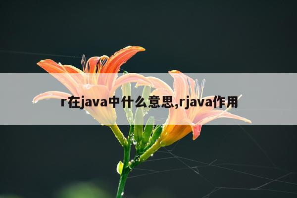r在java中什么意思,rjava作用