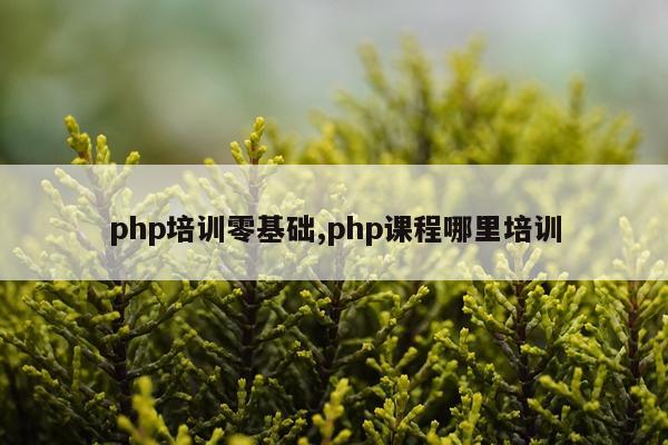php培训零基础,php课程哪里培训