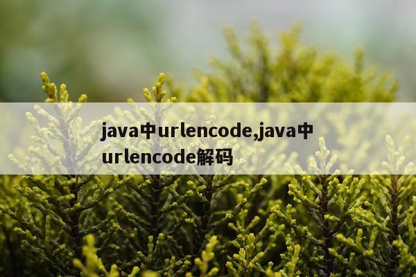 java中urlencode,java中urlencode解码
