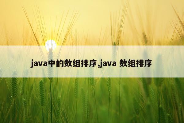 java中的数组排序,java 数组排序